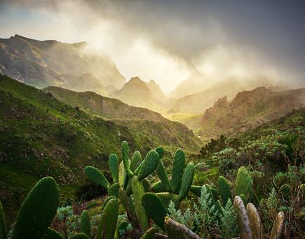 Eine weite Aufnahme der Teno-Gebirgskette auf Teneriffa, Spanien, mit schroffen Gipfeln und tiefen Tälern, die sich unter einem klaren Himmel erstrecken.