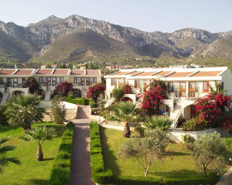 The Olive Tree Hotel-3