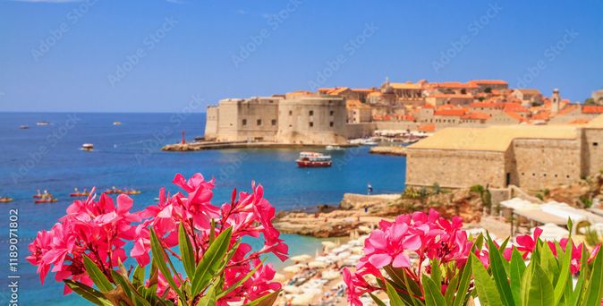 Blick aus der Vogelperspektive über Dubrovnik mit seinen alten Bauten und bunten Blumen im Vordergrund. Blauer Himmel.