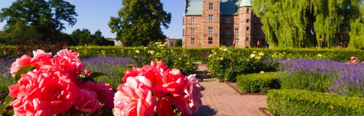 Ein Garten mit rosafarbenen Blumen und einem Schloss im Hintergrund.