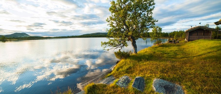 Natur