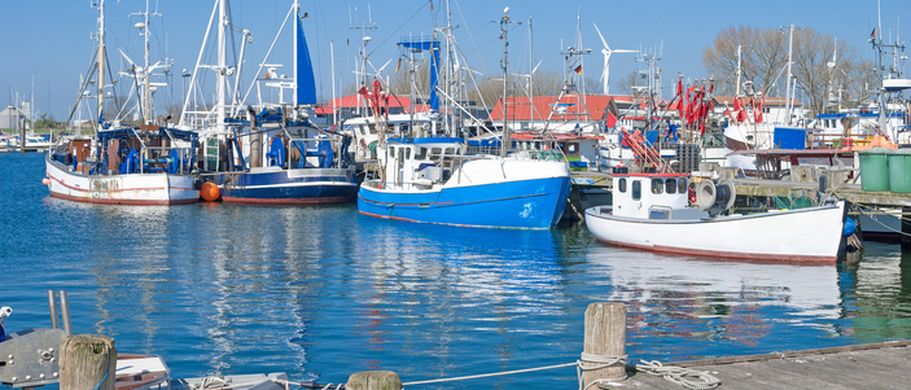 Fehmarn Hafen