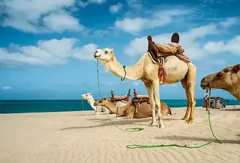 Surfen auf Fuerteventura