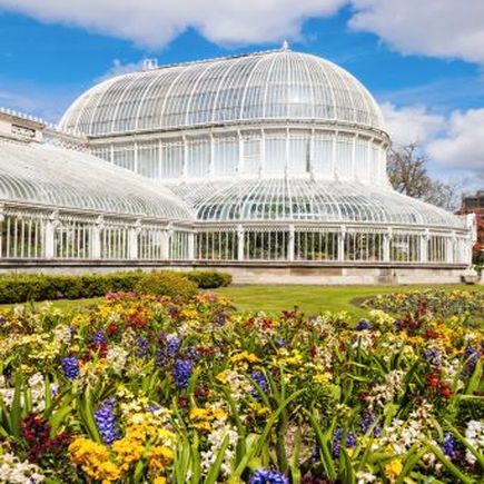 Belfast Urlaub Palmenhaus