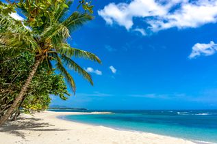 Strand Playa Dorada mit Palme