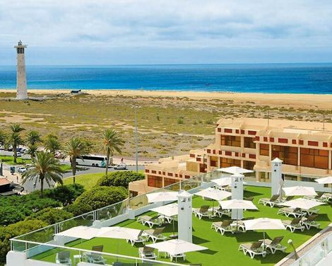 Fergus Cactus Garden-0