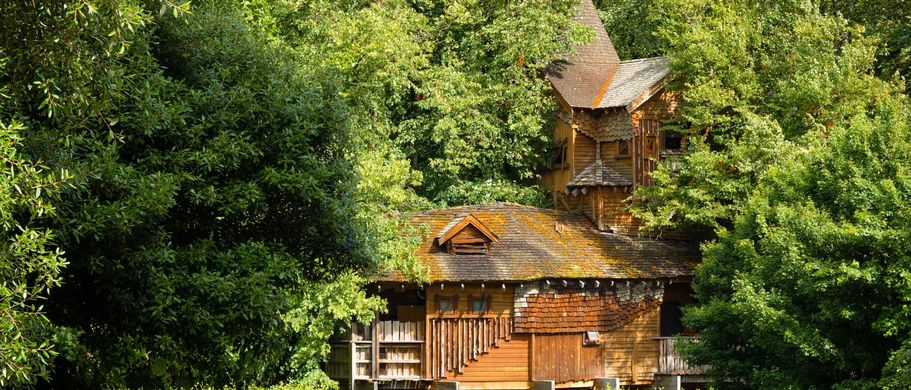 Ein Holzhaus in einem Wald.