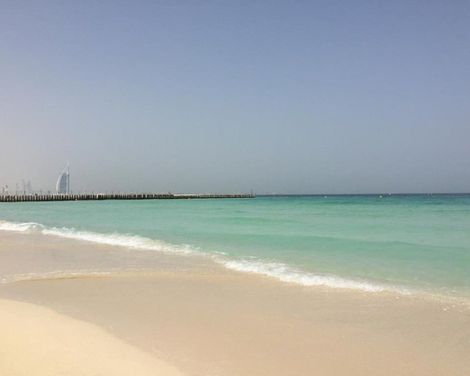 Signature 1 Hotel Barsha Heights - TECOM-0