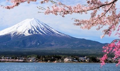 Schneebedeckter Fuji vor Kirschblüten und See – Der majestätische Fuji thront eindrucksvoll über einem See, eingerahmt von zartrosa Kirschblüten.