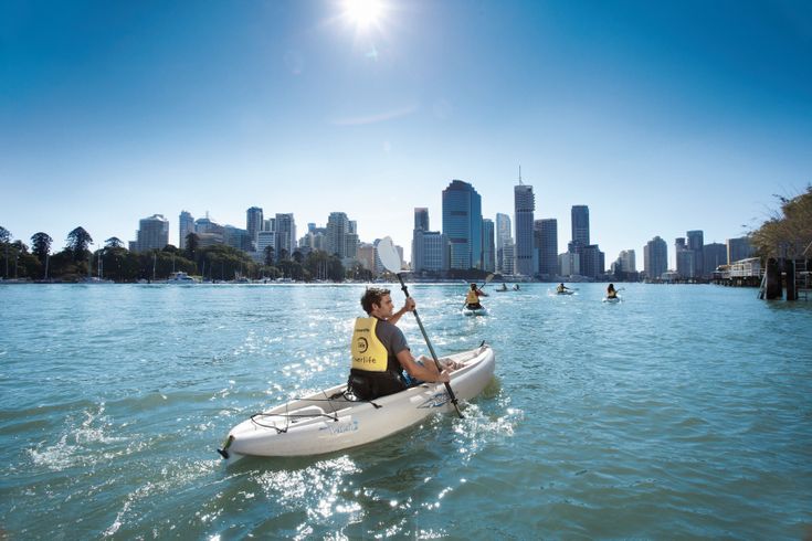Panoramablick auf den Brisbane River, wo mehrere Personen in Kajaks paddeln, mit der beeindruckenden Kulisse der Hochhäuser von Brisbane im Hintergrund.
