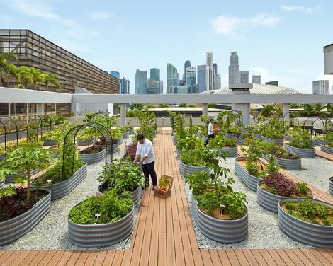 PARKROYAL COLLECTION Marina Bay, Singapore-4