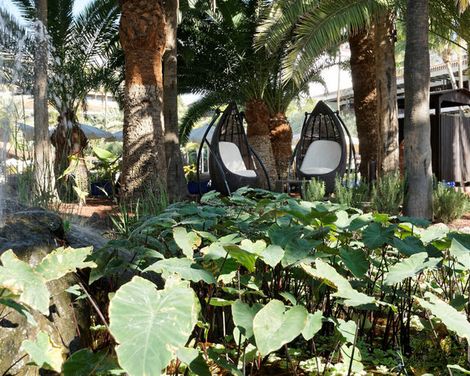 Hotel Parque Tropical-3