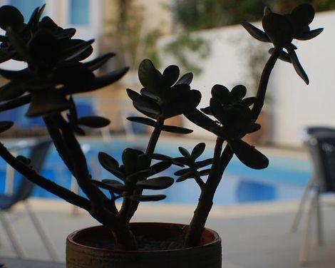 Renia Hotel-0