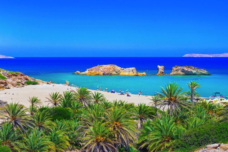 Ein Palmenstrand mit türkisfarbenem Wasser.