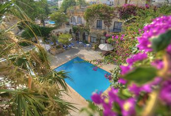Hotel, Cornucopia Hotel