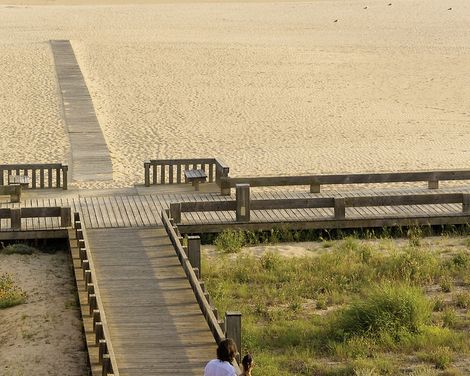 AP Oriental Beach-2