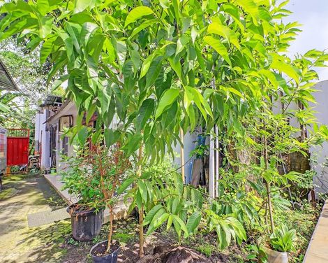 Gusti Residence by OYO Rooms-2