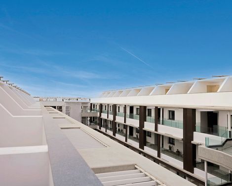 Coral Cotillo Reef-3