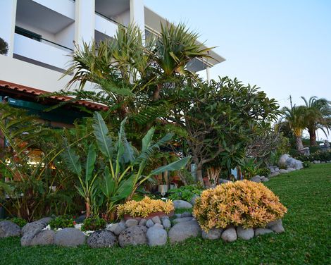 Jardim Atlantico-4