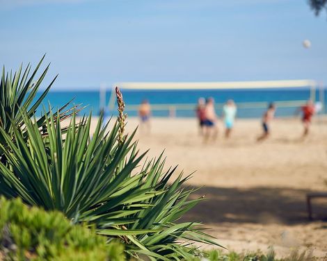 Pilot Beach Resort-1