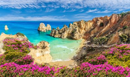 Bucht an der Algarve, Blick über bunte Vegetation auf das blaue Meer