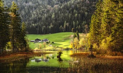Der Bayerische Wald mit einem See, umgeben von grünen Bäumen und Bergen.