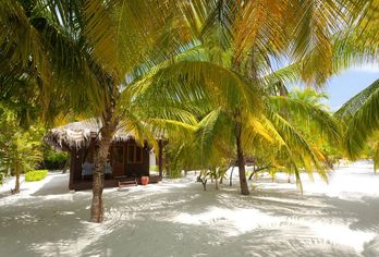 Hotel, Filitheyo Island Resort