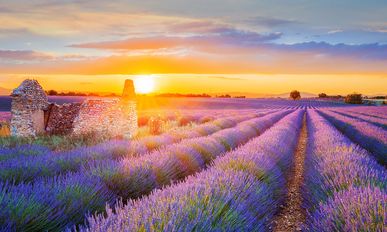 BIJOU DU RHÔNE:  Malerisches Südfrankreich