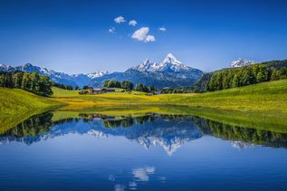 See mit Wiese und Wald im Hintergrund Alpen mit Schnee auf dem Gipfel im Berchtesgadener Land in Deutschland
