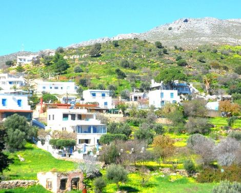 Papafotis-3