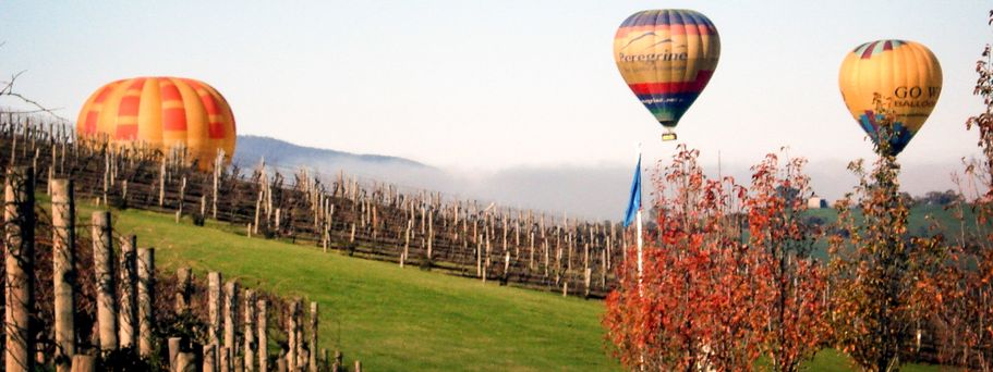 Ballons über dem Weingebiet im Yarra Valley
