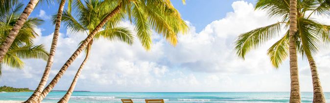 Ein malerischer Palmenstrand in Punta Cana, Dominikanische Republik, mit zahlreichen Kokospalmen, weißem Sand und dem türkisfarbenen Meer unter blauem Himmel.