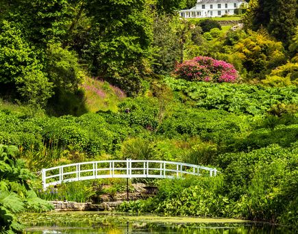 Trebah Gardens