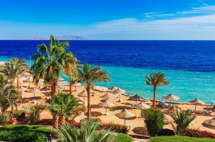 sharm el sheikh, strand, meer, palmen