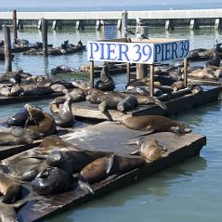 San Francisco Pier 39