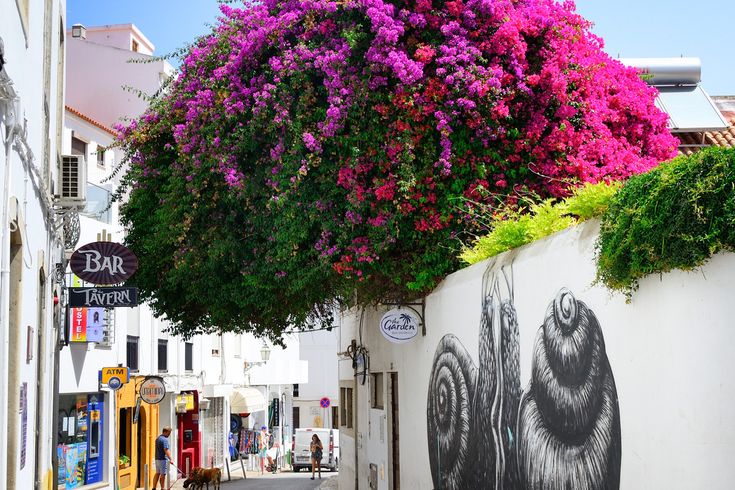 Eine Straße in einer Stadt mit bunten Blumen, die von einem Gebäude hängen.