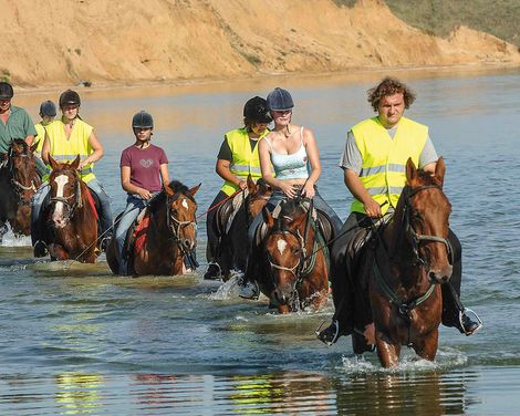 Zaton Holiday Resort 4 Star Apartments-3