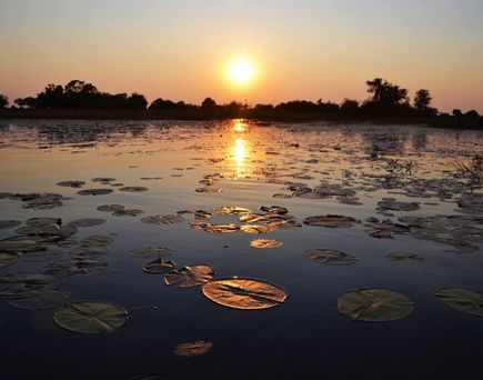 Sonnenuntergang Okavango Delta