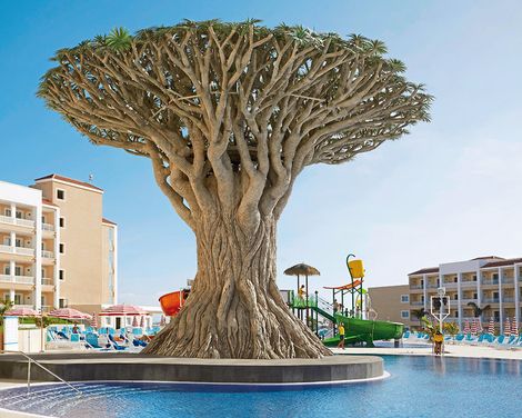 Bahia Principe Explore Fantasia-3