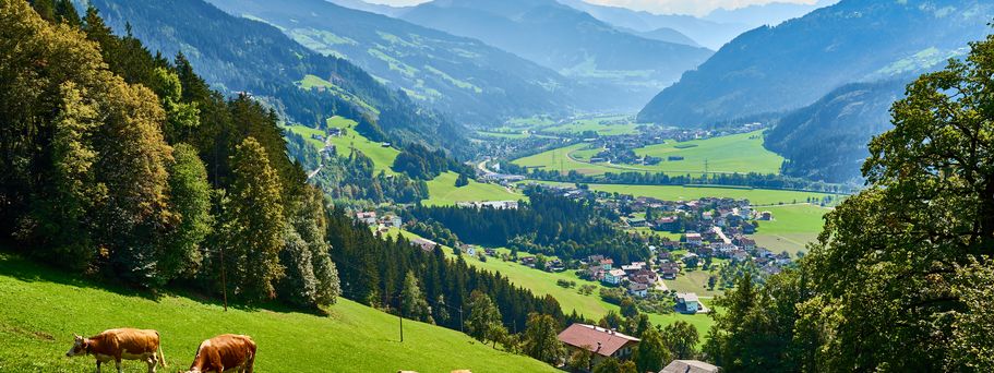 Berglandschaft in Österreich 