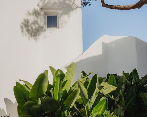 Fergus Style Punta Arabi-4