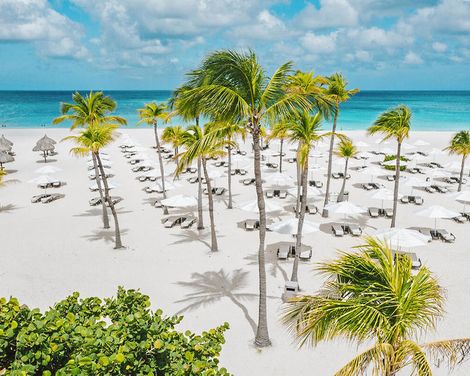 Bucuti and Tara Beach Resorts-2