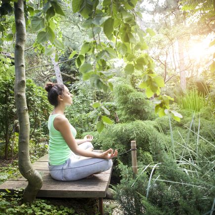 Yoga im Dschungel