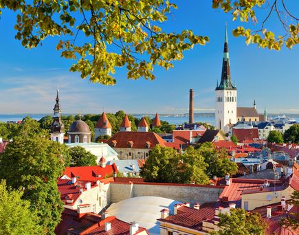 Blick auf die Stadt Tallin