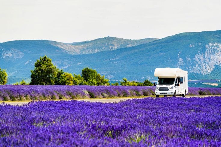 Ein weißer Campervan parkt am Rand eines blühenden Lavendelfeldes mit lila Blüten und lila Bergen im Hintergrund.