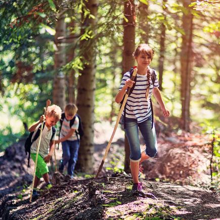 Kinder wandern Wald
