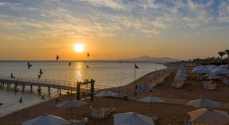 Rixos Premium Seagate