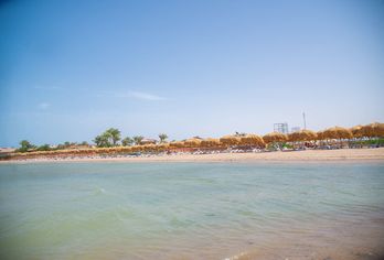 Hotel, Rewaya Majestic Resort