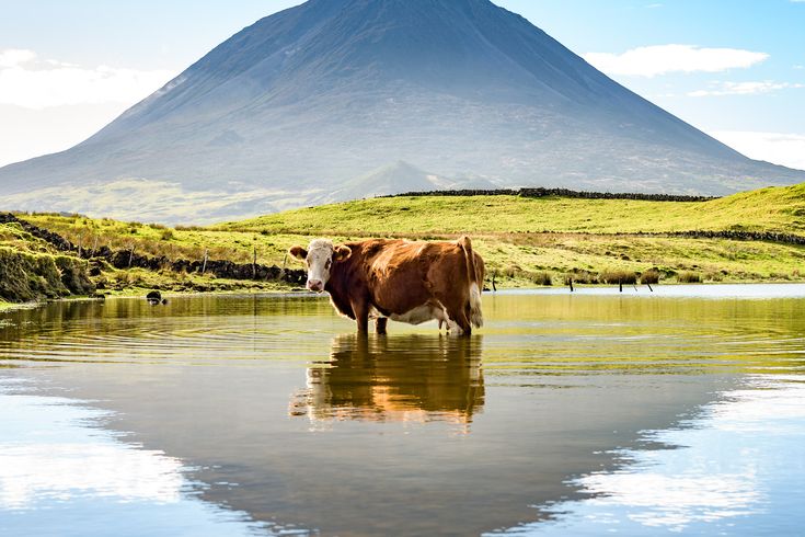 Ein Berg mit einem See, der sich im Wasser spiegelt.