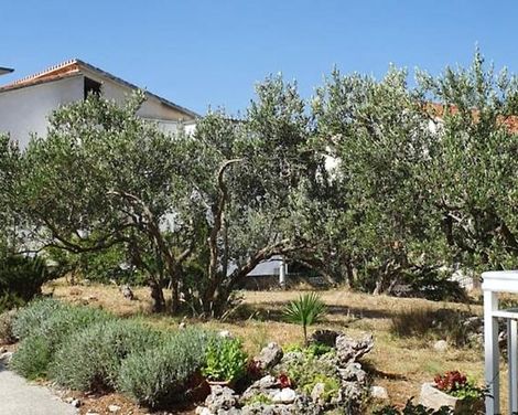 Apartments Ivana-1